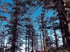 -瓦屋山景区