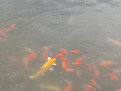 -仁和公园(顺义区)