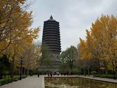 -玲珑塔公园