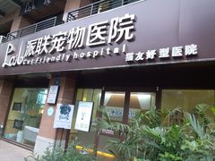 -派联宠物医院·24h·CT·异宠
