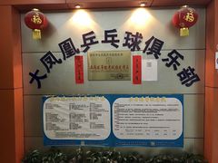 -大凤凰乒乓球馆