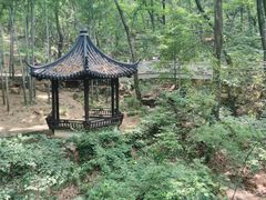 -宝岩生态观光园