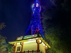 -金鸡山公园