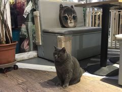 -小时光咖啡馆(开森度假森林店)