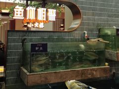 -鱼你相聚·河鲜馆(袁家岭店)