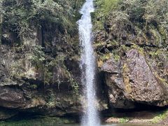 -龙苍沟森林公园