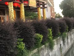 -桃园盛宴·岭南粤菜·手工茶点(南庄店)