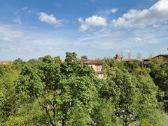 -上海崇明金茂凯悦酒店