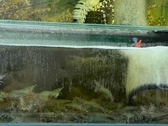 -双天海鲜楼