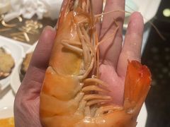 -堂会(缤缤店)