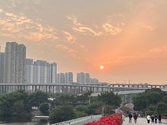 -厦门园林博览苑