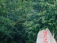 -莫尔道嘎国家森林公园