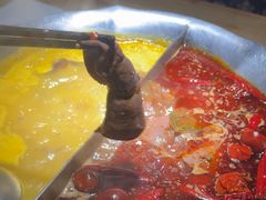 -湊湊火锅·茶憩(上海合生汇店)