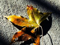 -北京西山国家森林公园