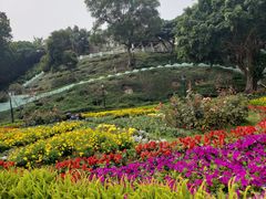 -龙环葡韵住宅式博物馆
