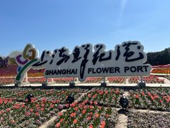 -上海鲜花港