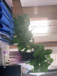 -尚艺造型.剪烫染.接发