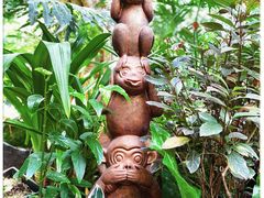 -上海辰山植物园