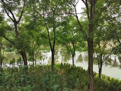 -东郊湿地公园