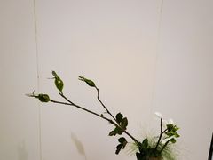 -今日陶艺(富力广场店)