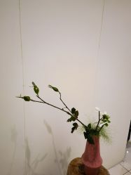 -今日陶艺(富力广场店)