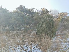 -北京西山国家森林公园