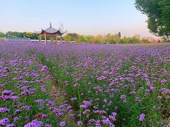 -杭州城北体育公园