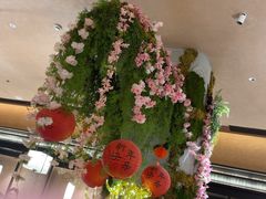 -阿露佳·舌尖上的安吉菜