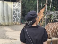 -泉州海丝野生动物世界