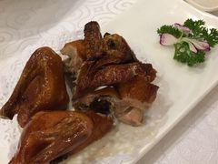 -新成海港大酒楼(康华路店)