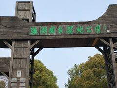 -溱湖国家湿地公园