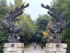 -东湖落雁景区