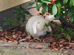 -三江森林温泉度假区