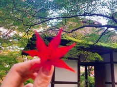 -常寂光寺