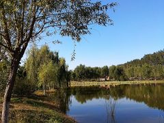-东郊湿地公园