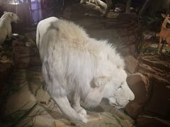 -陕西自然博物馆