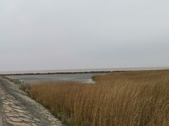 -南汇嘴观海公园