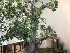 -成川茶店·潮汕工夫浓茶(万象店)