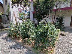 -柞水乾佑红门家菜