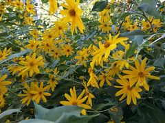 -火锅岛潮牌自助餐厅(天津天佑城店)