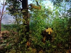 -陕西自然博物馆