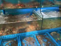 -老东镇啤酒屋海鲜加工·蒸汽海鲜·海鲜烧烤(台东店)