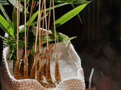 -领鲜天下·焗海鲜·花胶鸡(天目里店)