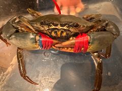 -珍宝海鲜JUMBO Seafood(尚嘉店)