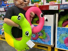 -山姆会员商店(亦庄创意生活广场店)