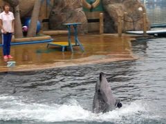 -秦皇岛乐岛海洋王国