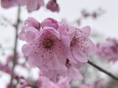 -阿哈湖国家湿地公园