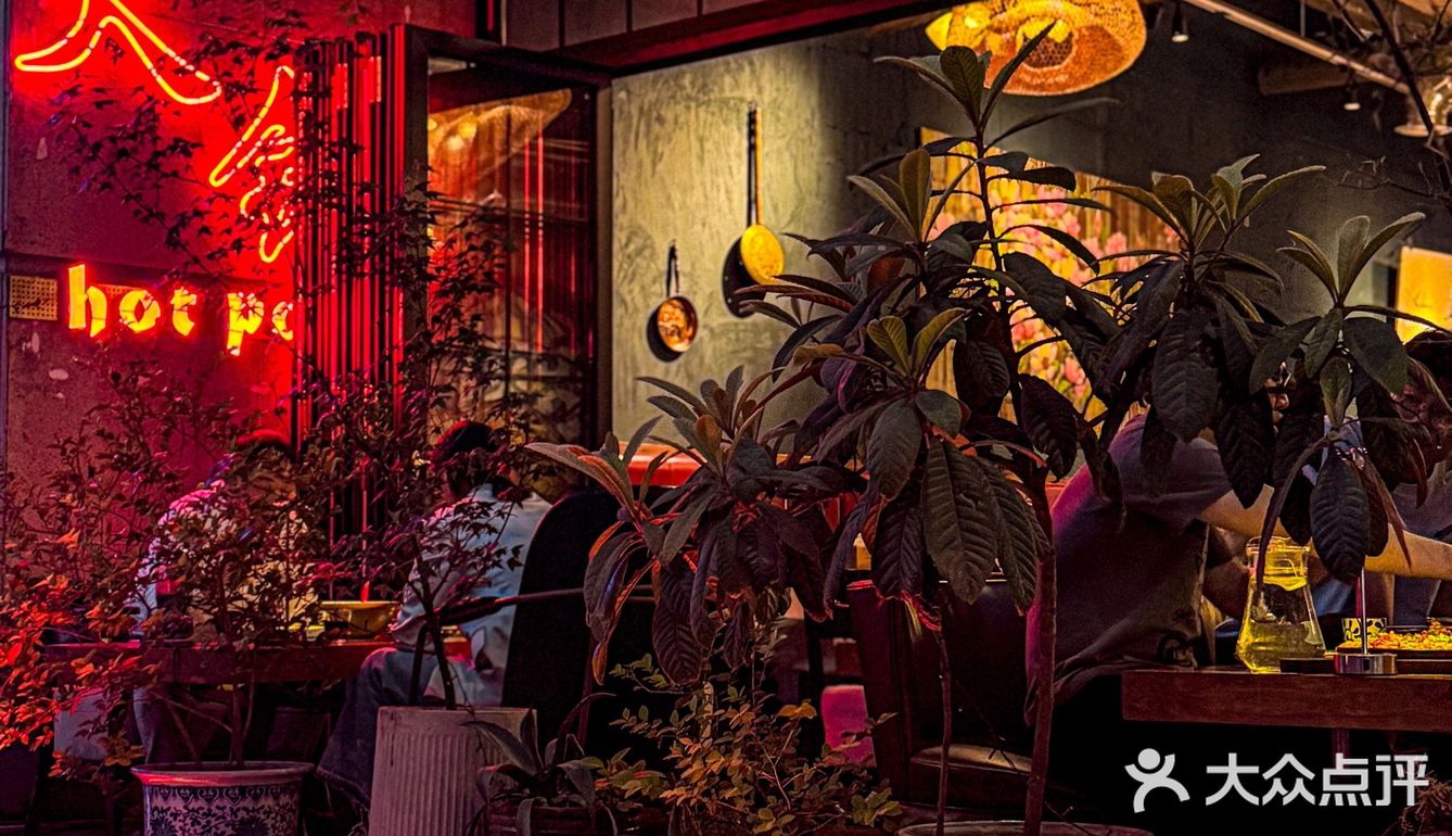 梧桐树下一个人也要吃饱饭！