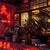 梧桐树下一个人也要吃饱饭！