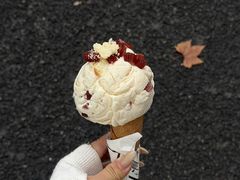 -红楼HONGLOU Gelato(淮海中路店)